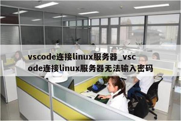 vscode连接linux服务器_vscode连接linux服务器无法输入密码